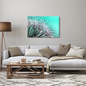 Obraz - orosená rastlina (90x60 cm)