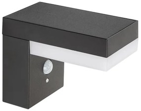 Rabalux 77009 - LED Solárne svietidlo so senzorom ZREBAR LED/6W/3,7V IP44