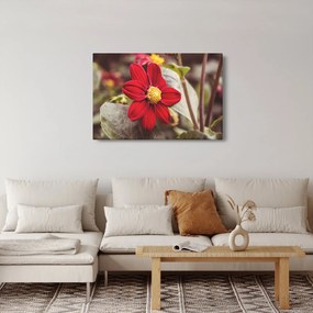 Obraz kvetiny (90x60 cm)