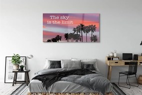 Obraz plexi Palm západu slnka 140x70 cm