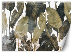Fototapeta, Banánové listy Rostliny Příroda - 100x70 cm