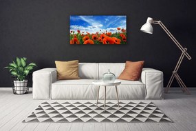 Obraz Canvas Lúka maky kvety 140x70 cm