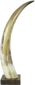 Dekoratívne roh Bizoň na drevenom podstavci - 45cm
