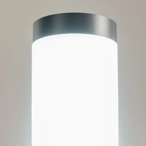 BRILAGI - Vonkajšie svietidlo so zásuvkou ELIA 1xE27/20W/230V IP44 50 cm antracit