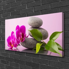 Obraz Canvas Kvet kamene zen rastlina 120x60 cm