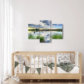 Obraz jazera s tŕstím (90x60 cm)