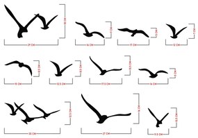 Migration