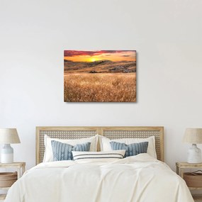 Obraz pole (70x50 cm)