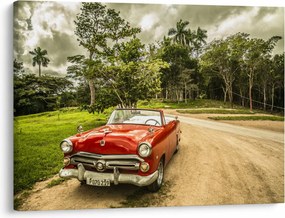 Obraz - auto veterán v prírode (70x50 cm)