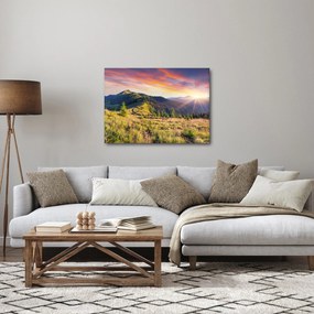 Obraz - Lesná krajina (70x50 cm)