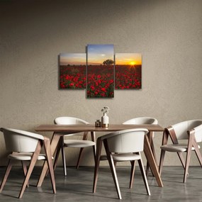 Obraz lúky s vlčími makmi (90x60 cm)