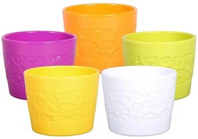 Obal Sparta FL 11 cm/mix