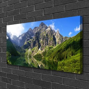 Obraz Canvas Tatry hory morské oko les 125x50 cm