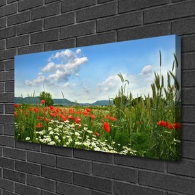 Obraz Canvas Lúka kvety príroda 120x60 cm
