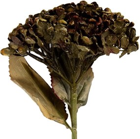 Zelená umelá dekorácia sušená kvetina hortenzie - 15*15*47 cm