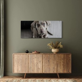 Obraz šteňaťa (120x50 cm)