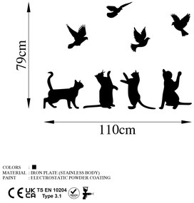 Birds Playing With Cats