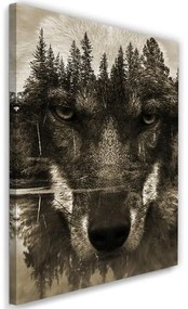 Obraz na plátně Vlk Lesní zvířata Příroda - 70x100 cm
