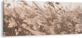 Obraz - Lúčny vánok (120x50 cm)