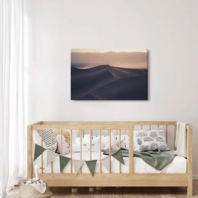 Obraz - Piesočné duny (90x60 cm)