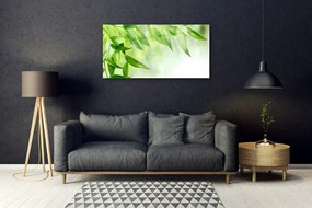 Obraz plexi Zelené listy príroda 100x50 cm