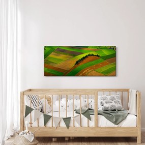 Obraz - Polia, lúky (120x50 cm)