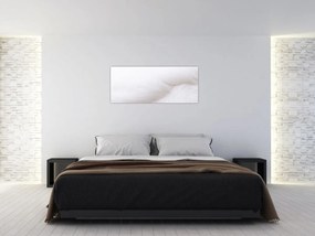 Obraz - Biele pierko (120x50 cm)