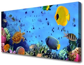 Obraz na plátne Koralový útes ryba príroda 125x50 cm