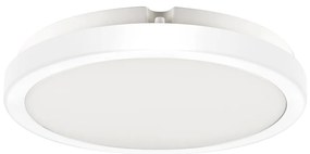 Stropné LED svietidlo Vera, 1x LED 24w, 4000k, w