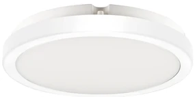 Stropné LED svietidlo Vera, 1x LED 24w, 4000k, w