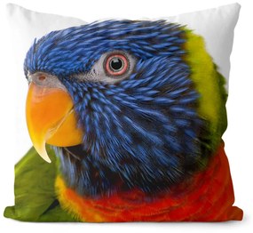 Vankúš Farebný papagáj (Veľkosť: 40 x 40 cm)