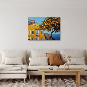 Obraz - Pomarančovník (70x50 cm)