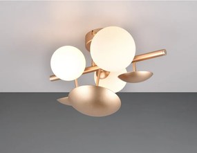 Nástenné svietidlo v zlato-bielej farbe Bubble – Trio Select