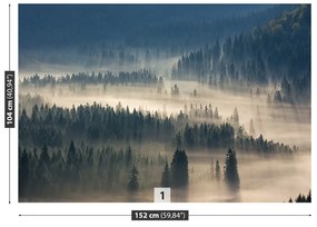 Fototapeta Vliesová Lesné hory 152x104 cm