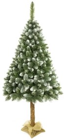 Vianočný stromček na kmeni 180 cm borovica