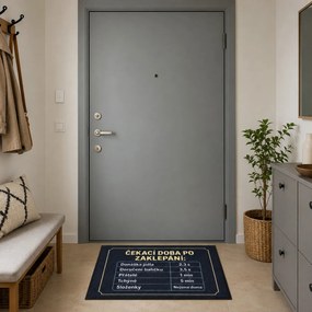 Mercury Flooring, Rohožka Čakacia doba 40x60 cm - na von aj na doma, 40x60, čierna