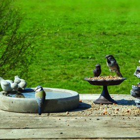 Napájadlo pre vtáky Conie, 8,5x29 cm, betón, sivá