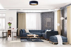 LED Stmievateľné stropné svietidlo SMART GALAXY LED/24W/230V modrá/zlatá + DO