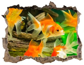 Díra 3D foto tapeta nálepka Zlatá rybka nd-k-89540196