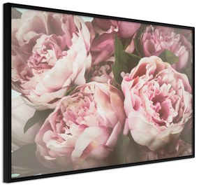 Artgeist Plagát - Pink Peonies [Poster] Veľkosť: 60x40, Verzia: Čierny rám