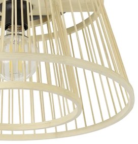 Eglo 43851 - Stropné svietidlo HYKEHAM 1xE27/40W/230V