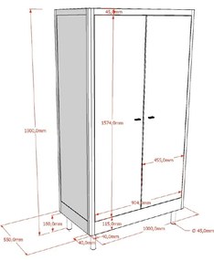 Detská šatníková skriňa z dubového dreva v prírodnej farbe 100x190x55 cm Forrest – Vipack
