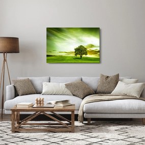 Obraz - Strom života (90x60 cm)