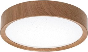 BRILAGI - LED stropné svietidlo NATURA LED/12W/230V 4000K pr. 26,3 cm