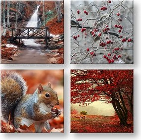 Obraz na stenu Beauty of Autumn