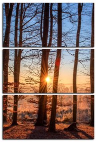 Obraz na plátne - Jesenné ráno v lese - obdĺžnik 7251B (90x60 cm  )