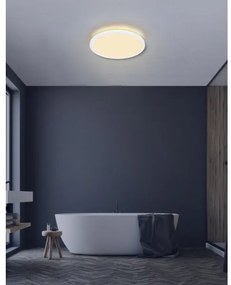 Globo 41562-24W - LED Kúpeľňové stropné svietidlo SAPANA LED/24W/230V IP44