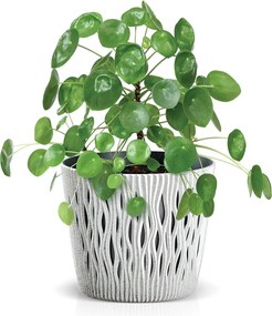 Kvetináč SCANDY ECO s vložkou antracit