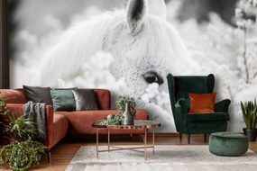 Fototapeta - Biely kôň na snehu (152,5x104 cm)