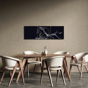 Obraz - Kôň a voda (s hodinami) (90x30 cm)